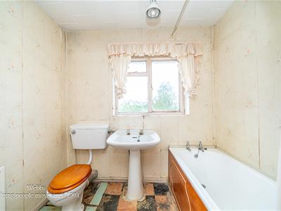 Picture 28